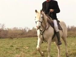 VOICED: 'Gardians' keep French cowboy tradition alive News Clip