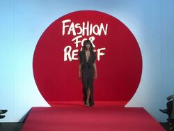 Naomi Campbell at the Fashion For Relief Japan Fundraiser during the 64th Annual Cannes Film Festival at the Fashion for Relief: 64th Cannes Film Festival at Cannes . (Footage by WireImage Video/GettyImages) Stock Footage