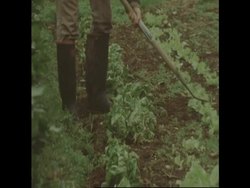 RR7539B UK EXPERIMENT IN SELF-SUFFICIENCY News Clip