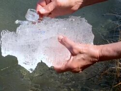 MS TU ZI ZO Man examining melting ice on lake / Tweed, Ontario, Canada Stock Footage