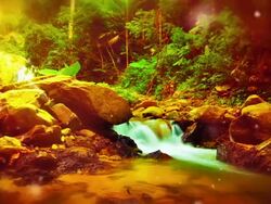 Mountain river. Stock Footage