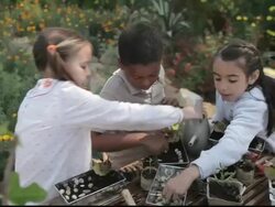 MS Students watering and planting seedlings / Los Angeles, California, United States Stock Footage