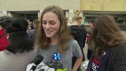 Hillary Clinton Looks To Secure Female Vote With Michelle Obama's Help News Clip