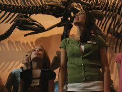 MS LA PAN Young woman with group of children (4-5, 6-7, 8-9) in natural history museum, dinosaur's teeth in foreground, Lehi, Utah, USA Stock Footage