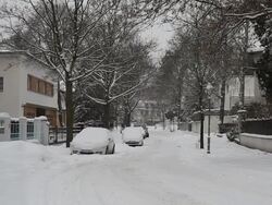 Street with houses in the winter - snowfall Stock Footage