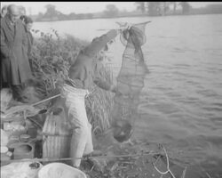 JACKIE WEDS ""ARI"" News Clip