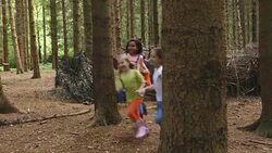 Playtime in the Woods Stock Footage
