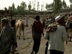 People entering camel market Stock Footage