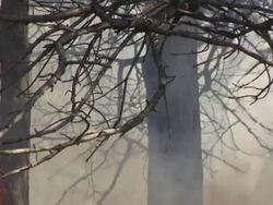 CU, TD, PAN, Canada, Ontario, Toronto, Forest fire Stock Footage