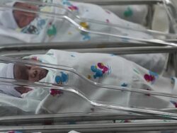 Newborn babies in a row in nursery Stock Footage