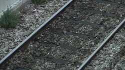 General strike leaves rail and ferry passengers stranded Instructional Video