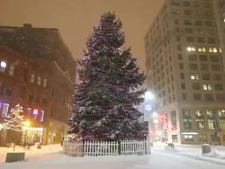 Holidays in Portland Stock Footage