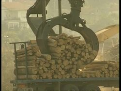 Skidder claw grabs logs from truck tray Stock Footage