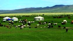 Mongolia Instructional Video