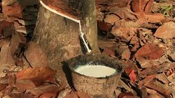 Tapping Stock Footage