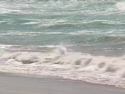 Increase in the number of tourists drowning News Clip