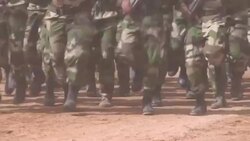 CLEAN : Military parade of Saharawi forces in Tindouf News Clip