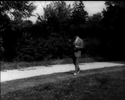 A QUIET STROLL News Clip