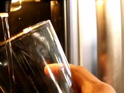 Filtered Water from Refrigerator Stock Footage