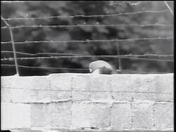 B/W 1961 top of soldier's head marching on other side of Berlin Wall / Cold War / Germany Stock Footage