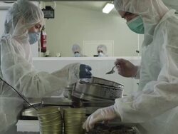 two workers wearing protective clothing filling caviar in tins in caviar production facility, RED R3D 4K,4KMSTR Stock Footage