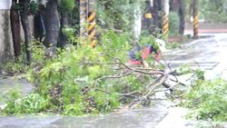 CLEAN : Typhoon lashes Philippines, Taiwan, heads News Clip