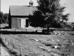 Dust Bowl economy affects farmers Stock Footage