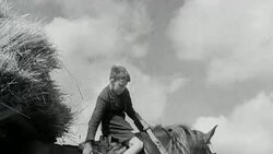 1942 MONTAGE Volunteers from the city and the armed forces volunteering and harvesting grain on a farm during World War II / United Kingdom Stock Footage