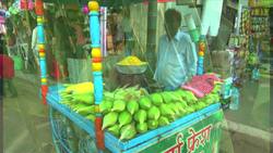 India: Geographical Regions Instructional Video