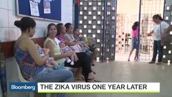 The Zika Virus One Year Later: Are We Close to a Cure? News Clip
