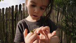 LEARNING PROCESS. Gender Neutral Child Playing With Insects. Stock Footage