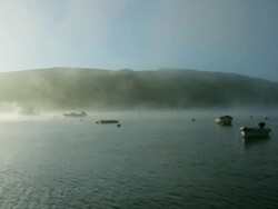 Nature, Misty morning river Stock Footage