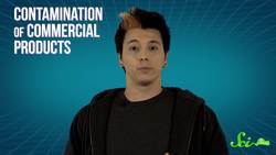 CSI Special Insects Unit: Forensic Entomology Instructional Video