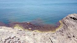 HD: Sea Scene of Travelers Stock Footage