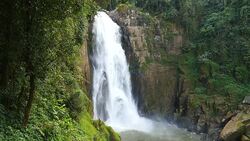 High Cliff Waterfalls in Deep Forests Stock Footage