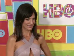 Perrey Reeves at HBO's Official 2014 Emmy After Party Stock Footage