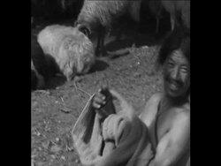 CAN 019 GOATS AND SHEEP SOLD FOR RELIGIOUS SACRIFICE IN KATMANDU Instructional Video
