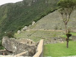 WS View of stone terraces in agricultural sector of town / Machu Picchu, Peru  Stock Footage