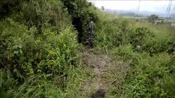 CLEAN : Army to probe mass graves in east DR Congo News Clip