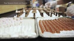 The Rich and Richer Fight Over Beach Chairs in Paradise News Clip