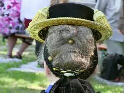 CU Pilgrimage of societies for traditional costumes at abbey Maria Eck near Siegsdorf, Chiemgauer Alps / Siegsdorf, Bavaria, Germany Stock Footage