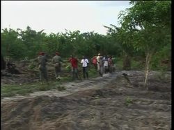 Cameroon - Plane Crash News Clip