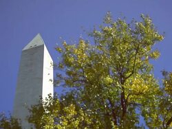 A static shot at an angle of the Washington Monument on a breezy, sunny day. Stock Footage