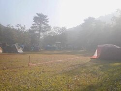 Dolly:Tent camping on lawn. In morning with fog. Stock Footage
