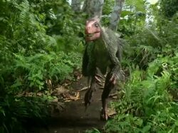 Medium push-out - A feathered dinosaur sneaks across a path in a computer-generated animation. / Washington, DC, USA Stock Footage