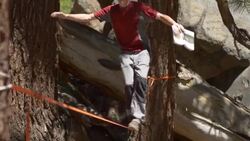 A man balancing on a slackline while reading a book and then falls off. Stock Footage