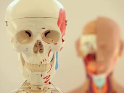 "RF medical skeleton /Richmond,Virginia, USA" Stock Footage