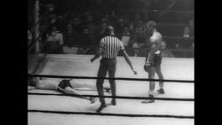 Golden Glove Boxing Matches Stock Footage