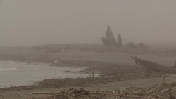Dense fog partially obscures a beach littered with debris and a heron on the shoreline. Stock Footage