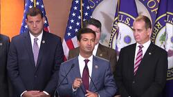 GOP Reps Dismayed by Rejected Immigration Bill News Clip